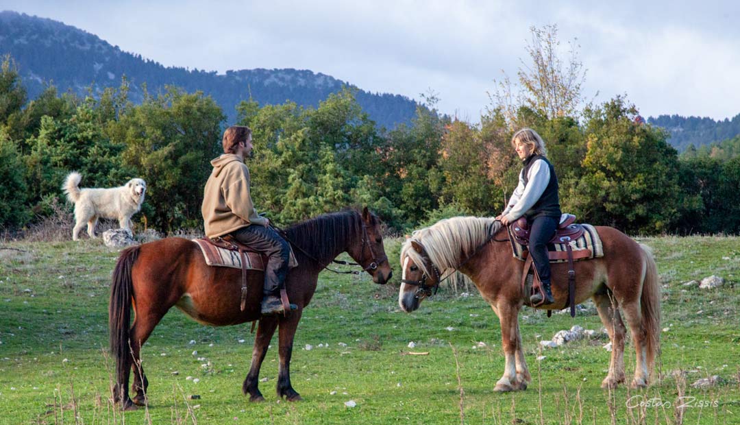 Horseback riding in Zagori